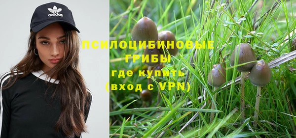 метадон Магас