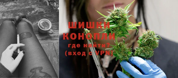 шишки Медногорск