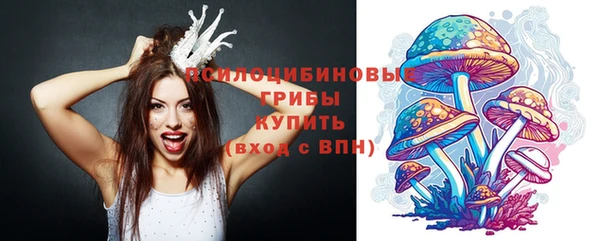 MDMA Медвежьегорск