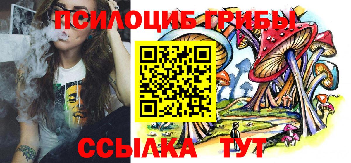 Псилоцибиновые грибы GOLDEN TEACHER  Вход с VPN  Нижнекамск 